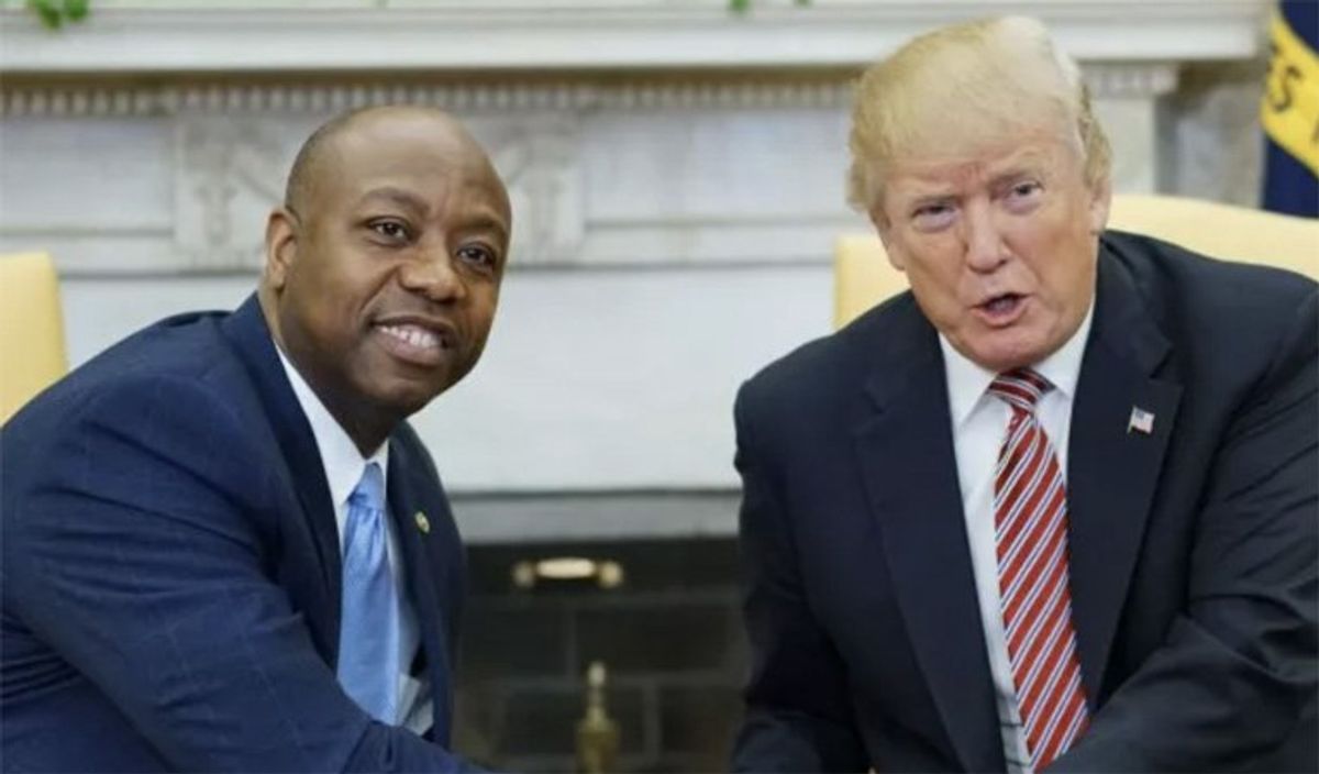 GOP strategist scorches Trump opponents for continuing 'zombie-limp' campaigns