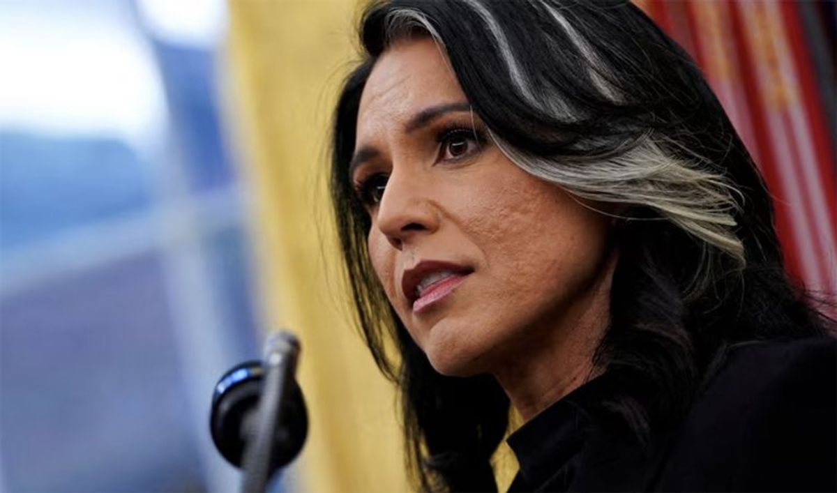 'Change her meds': MSNBC panel baffled by 'just plain weird' Tulsi Gabbard video