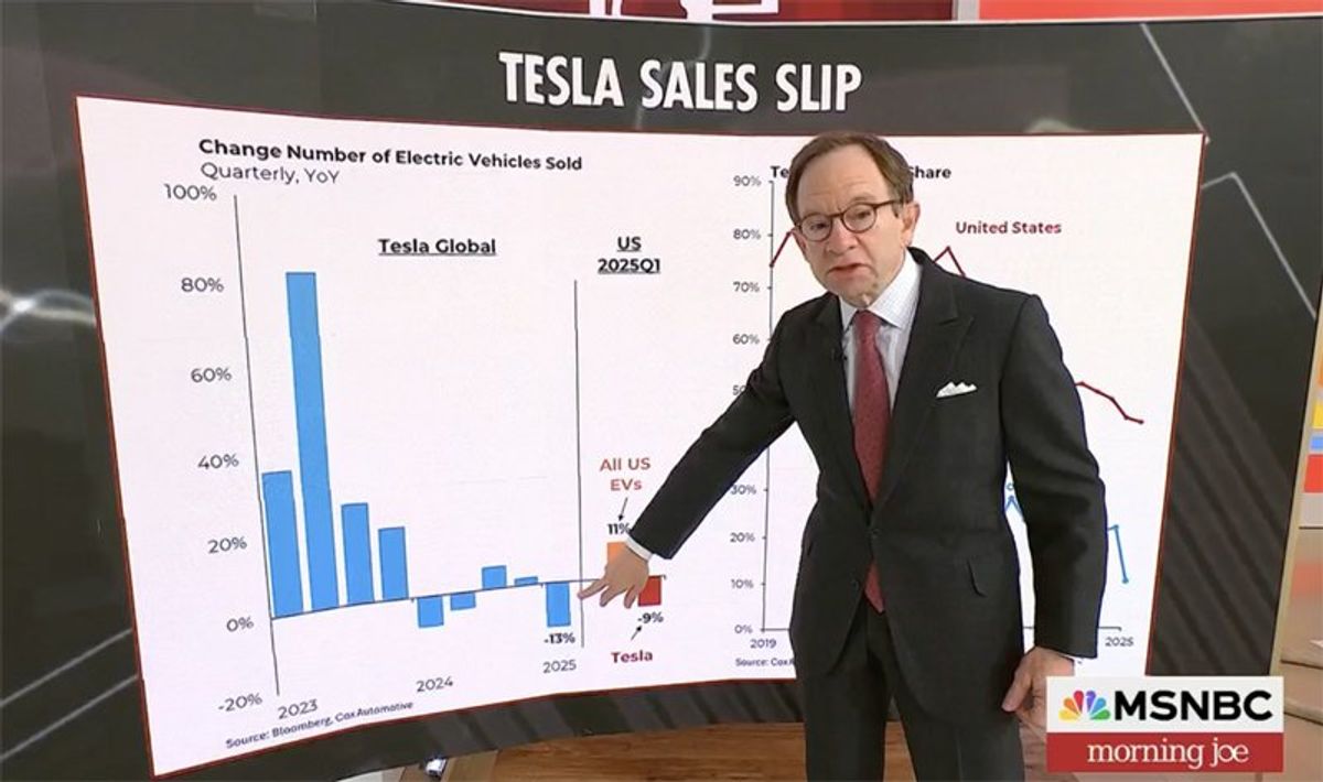 'Tesla tanking': MSNBC financial expert delivers brutal news to Musk investors