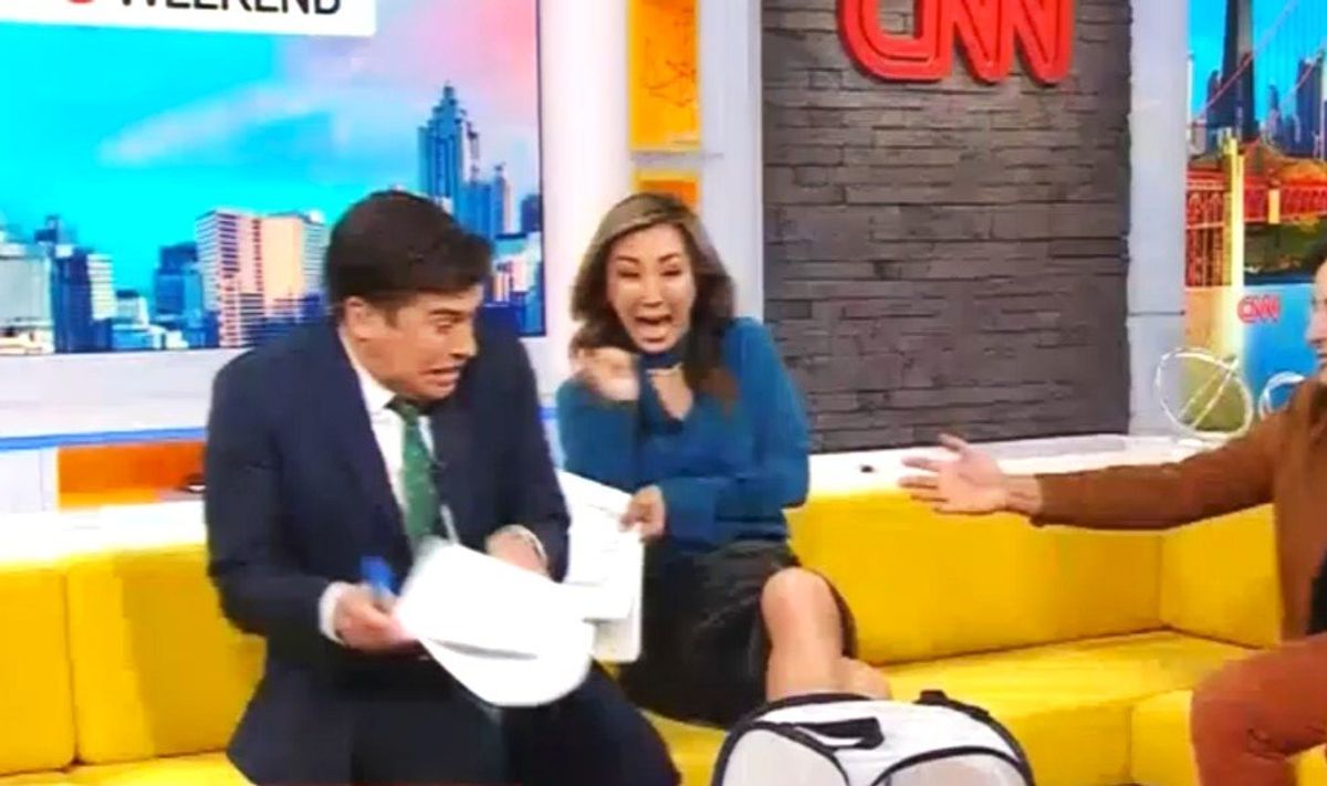 Watch: CNN host screams as cicada flies around the set