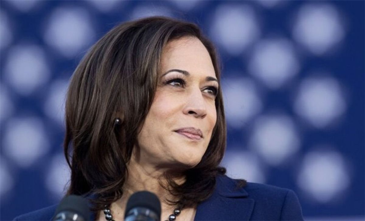 'These numbers are insane': MSNBC panel stunned by massive sign-up of Harris volunteers
