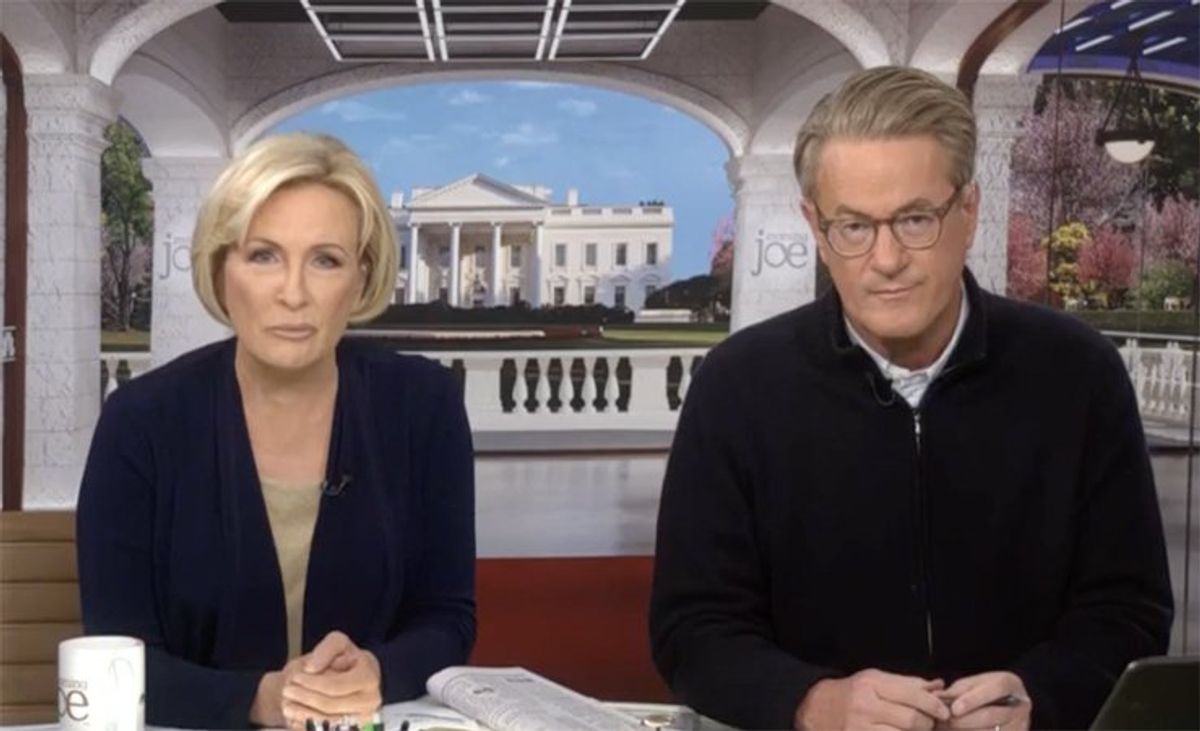 'Wow': MSNBC host stunned as WSJ reporter brutally dissects Trump's pet-eating lie