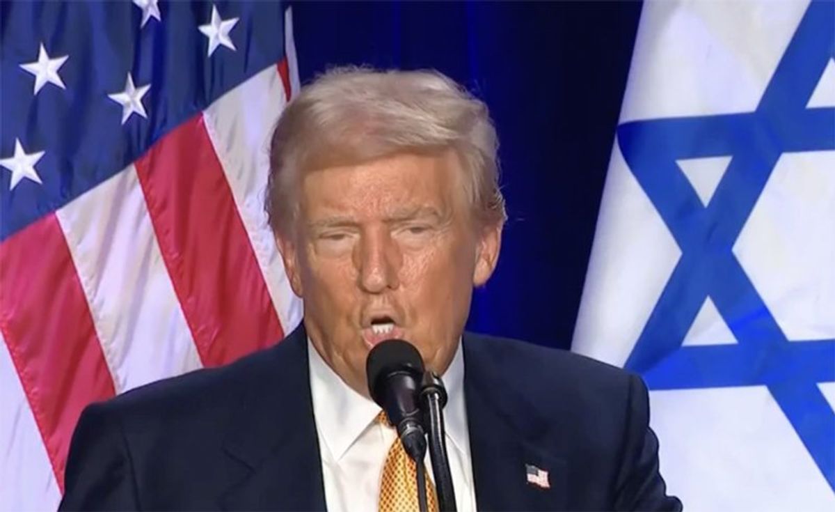 'Wannabe Nazi without the organizational skills': Trump leveled for controversial comment