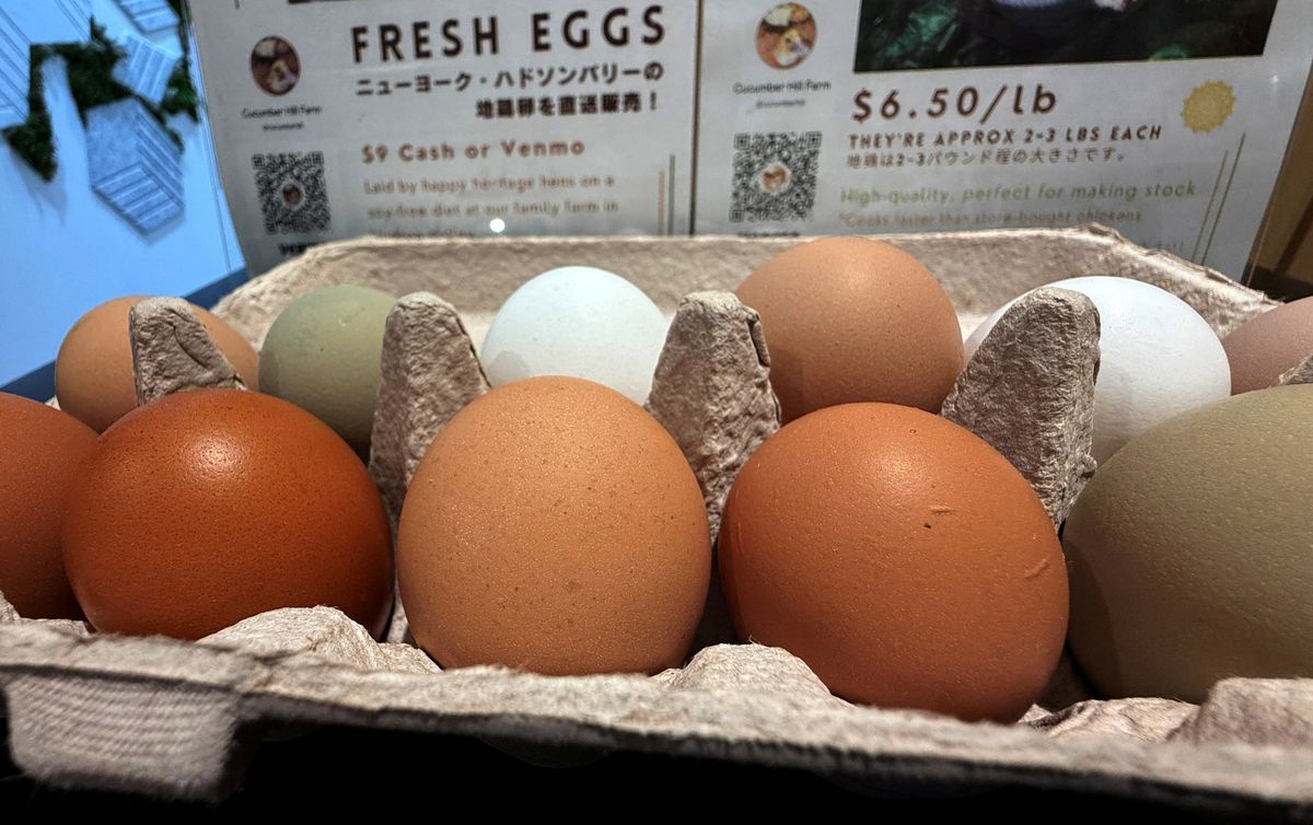 Trump's 'almost impossible' plan to bring in more eggs is already flailing: report