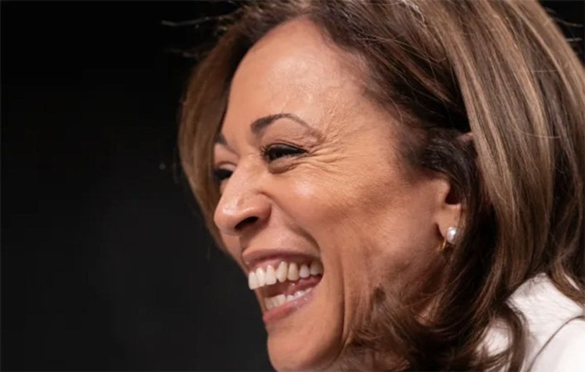 'Jaw-dropping': Harris supporter behind white women's Zoom call reveals 2-hour cash haul