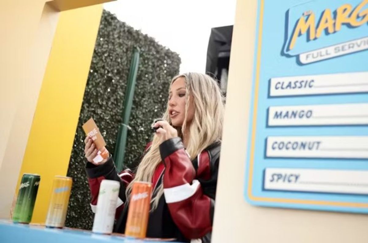 'The art of hating': Why $150B influencer industry needs snarky trolls