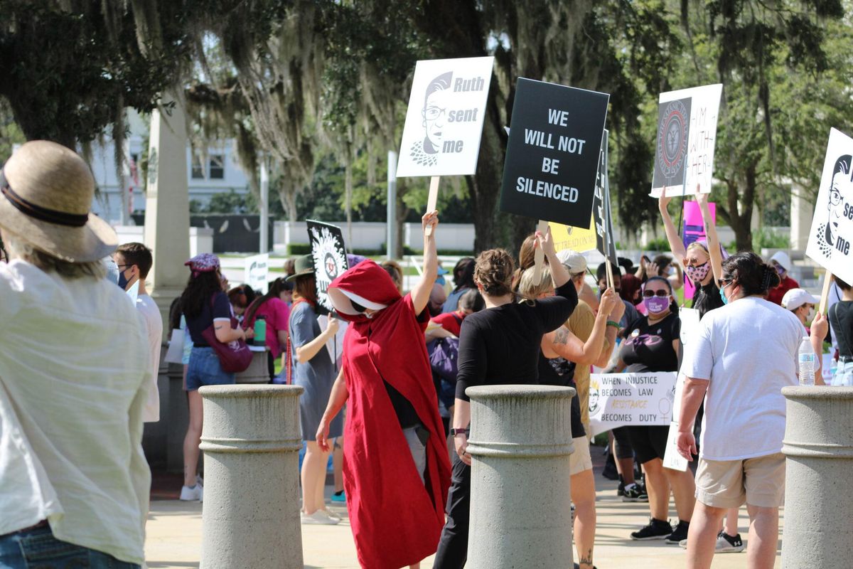 Protesters march to Tallahassee state capitol: 'Don’t Texas my Florida!'