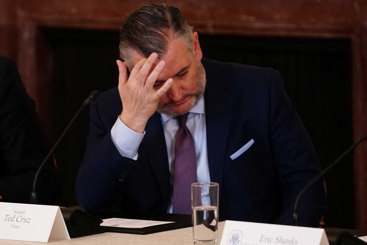 ‘It outraged us’: TMZ sets sights on lawmakers enjoying ‘Spring Break’ amid shutdown chaos