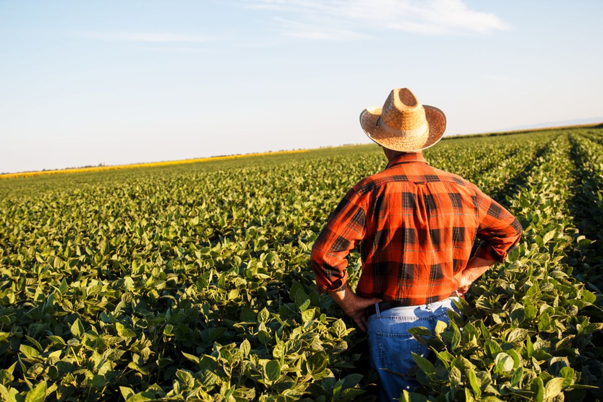 'Don't know where it's going': Farmers stressed as Trump tariffs threaten record harvest