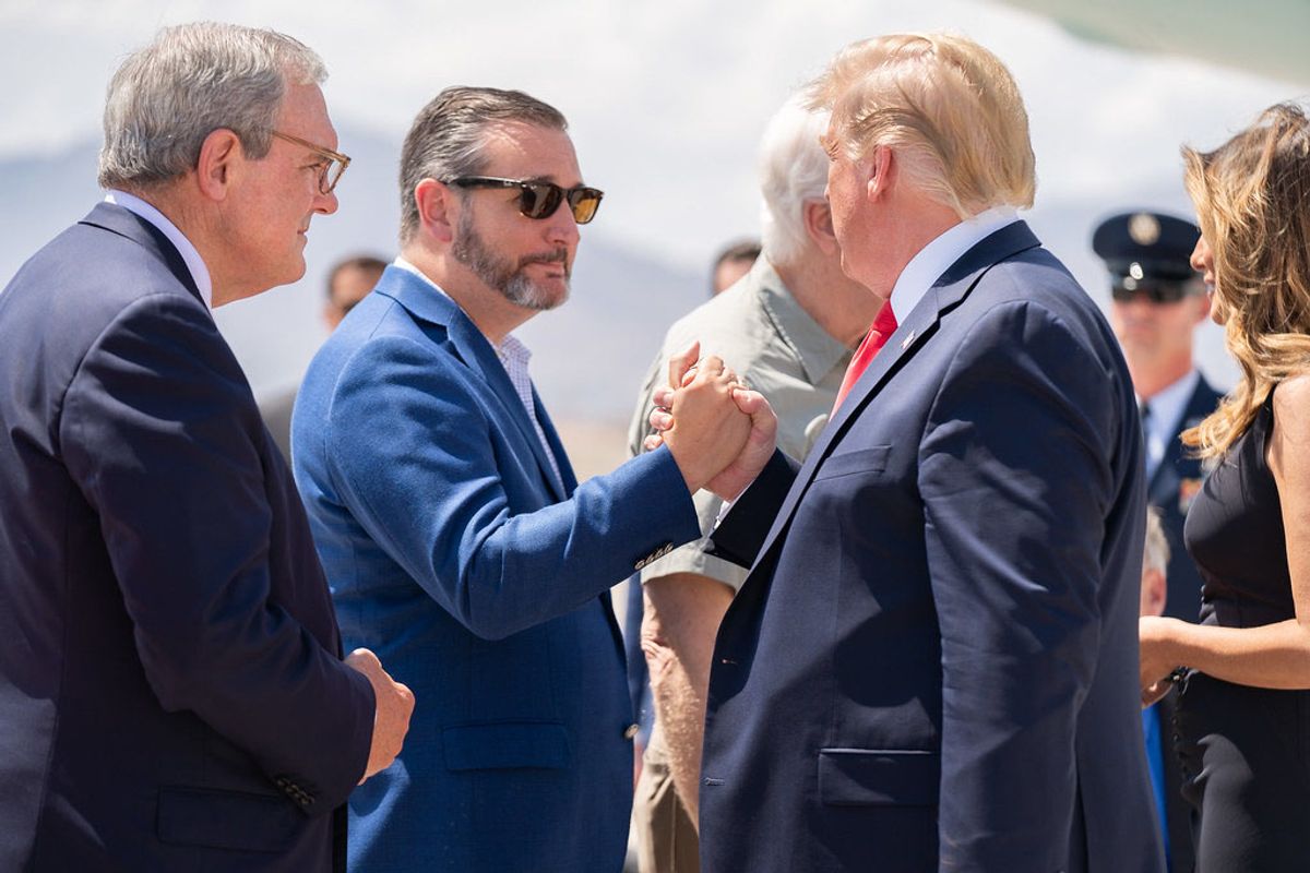'Five alarm fire for GOP': MAGA ally worries new Texas poll 'too close for Trump and Cruz'