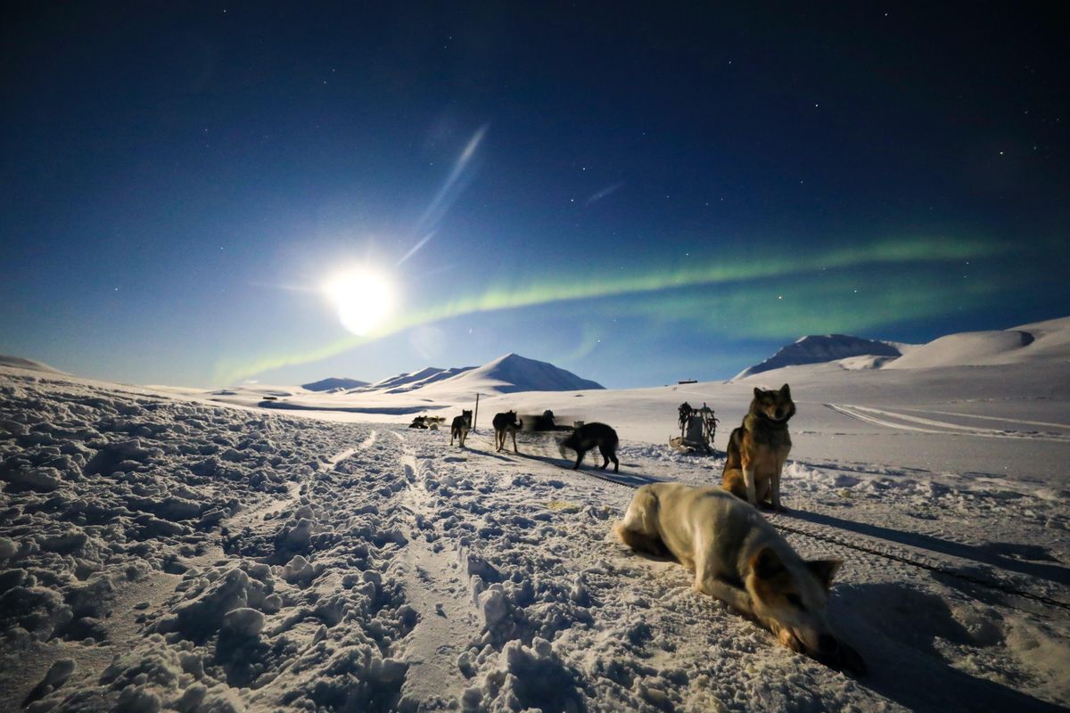 Scientists revive ‘zombie’ virus after 50,000 years trapped in Siberian permafrost: report