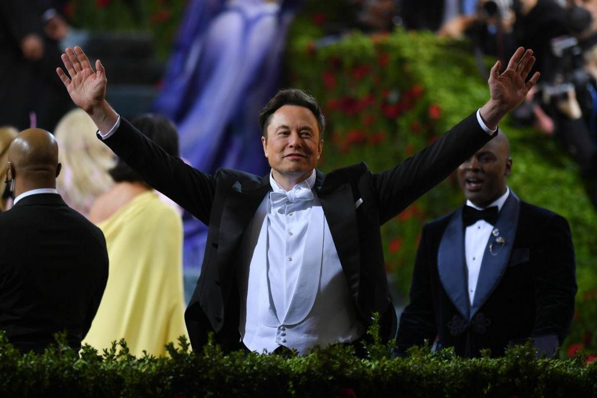 Elon Musk's brain implant company under new investigation: report