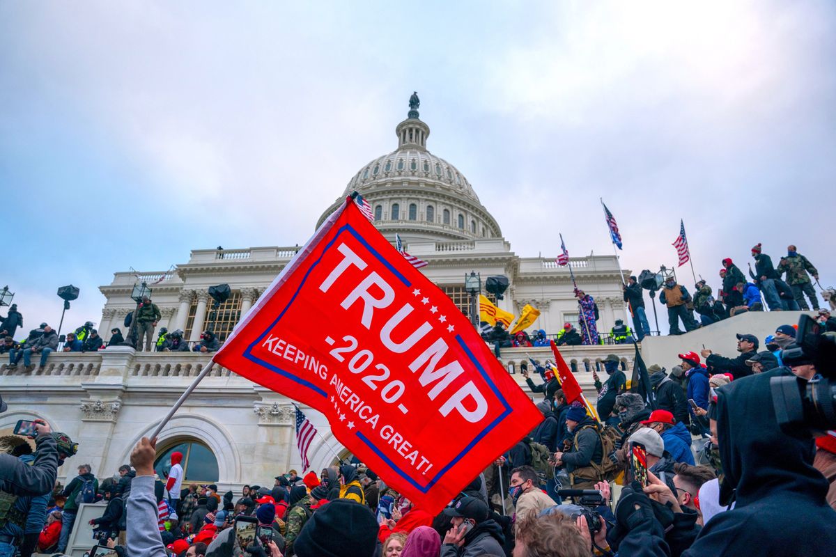 A neuroscientist explains why Trump extremists will grow violent as Election 2024 approaches