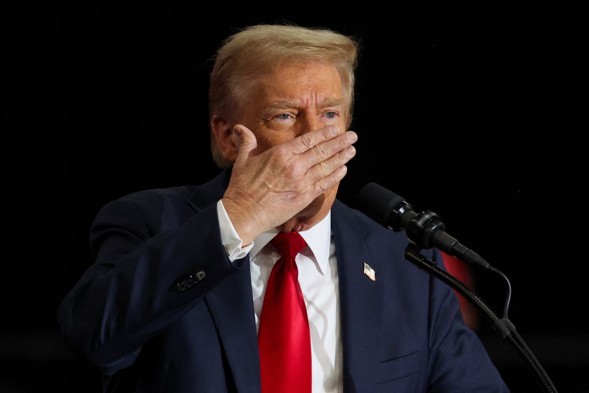 'Possible election fraud': Trump calls for 'investigation' into retired political pollster