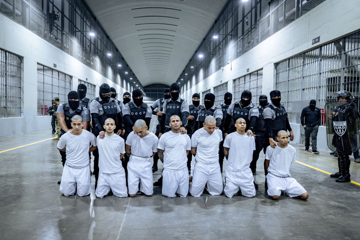 'Terrorist' tattoos cited by Homeland Security 'stolen from the internet': legal expert