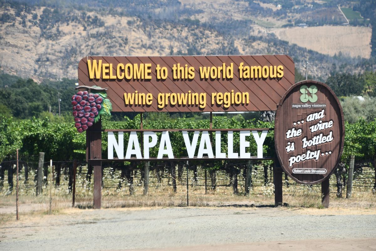 'Has to be a reckoning': Wine industry sweats as tariffs threaten even those made in US