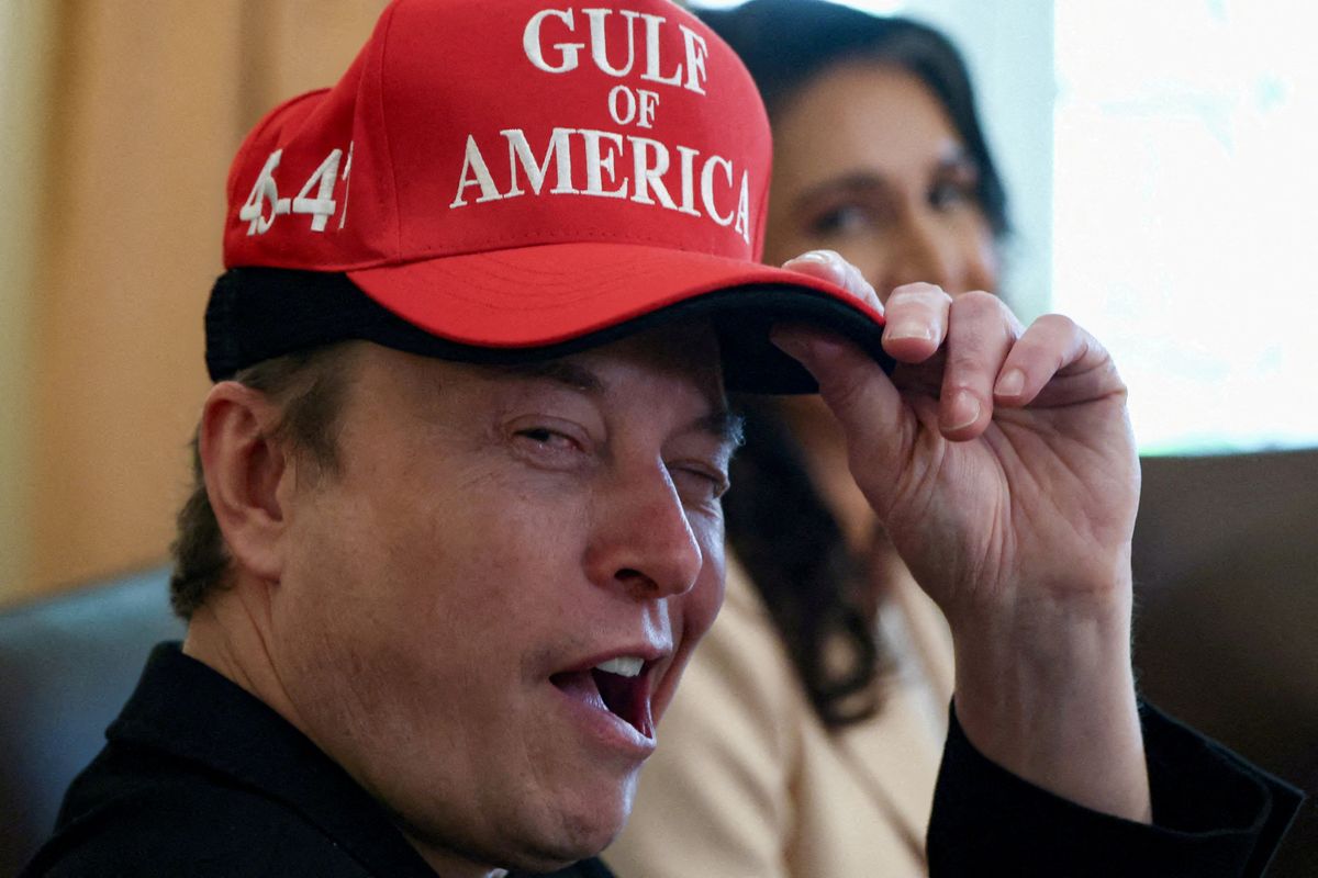 'Leave Elon alone!' MAGA rebels against Trump as it takes sides in feud