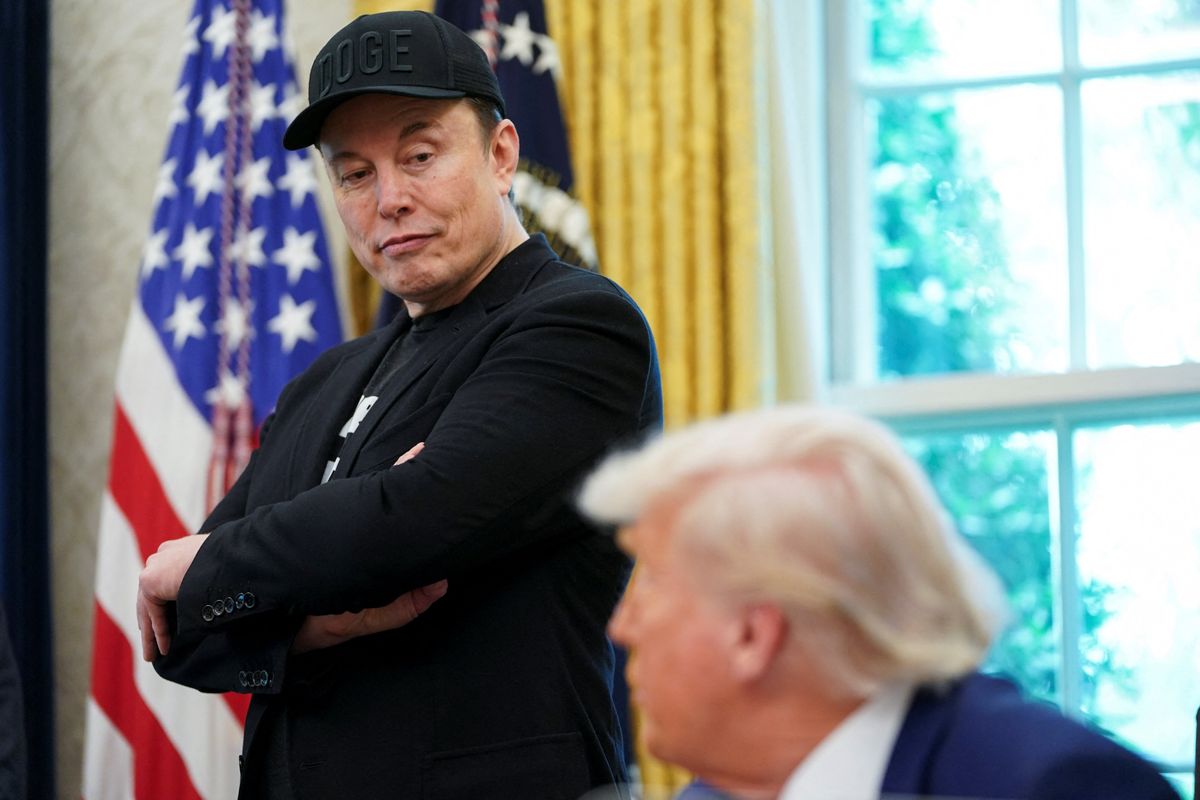 'They are going nuclear!' Internet wild with glee as Trump-Musk fight sears