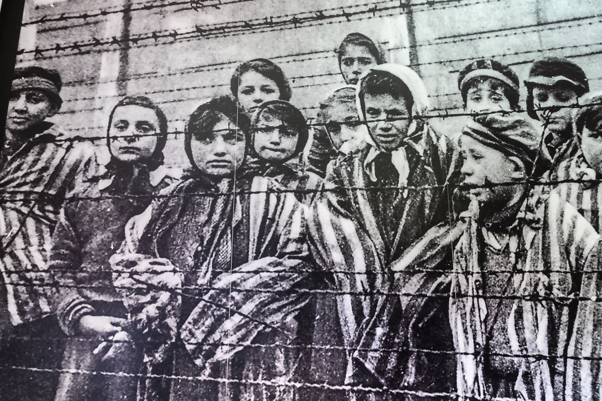 Nazi whines about being fired for calling Holocaust 'a little bit of persecution' on TV