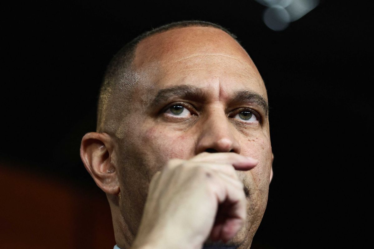 Dem leader unleashes attack on 'random senators' for derailing party's shutdown fight