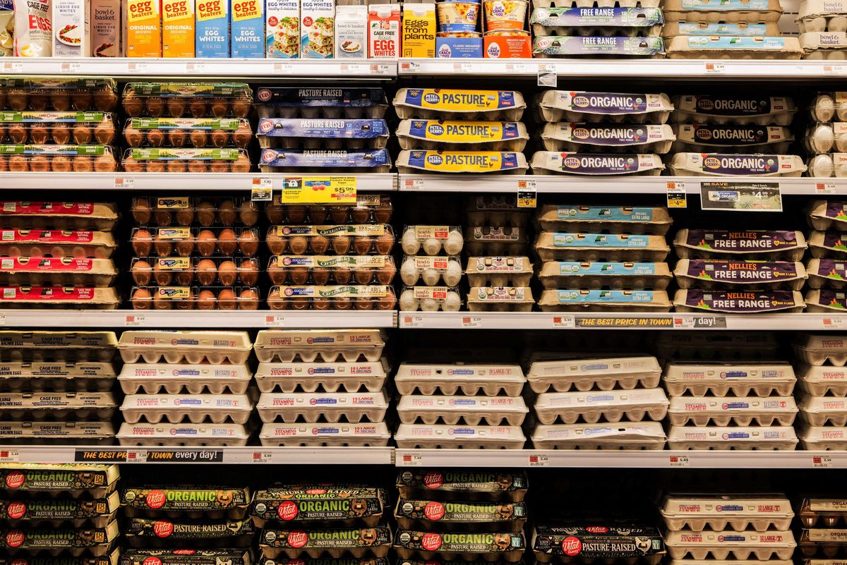 GOP in trouble as 'grocery price shock' set to surge already-inflated food costs: report