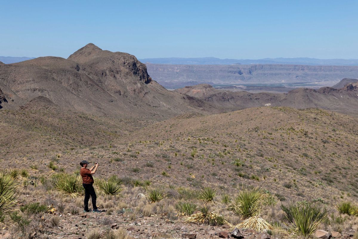 Betrayed Texans say Trump wants to give their land to Mexico: 'Greed and corruption'