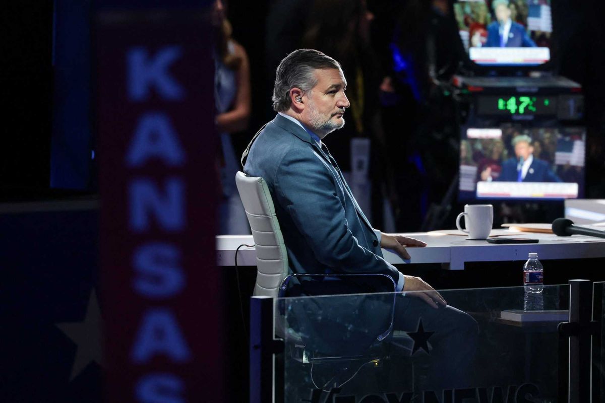 Trump adviser begs GOP senator to ‘please stay off’ television after disastrous interview