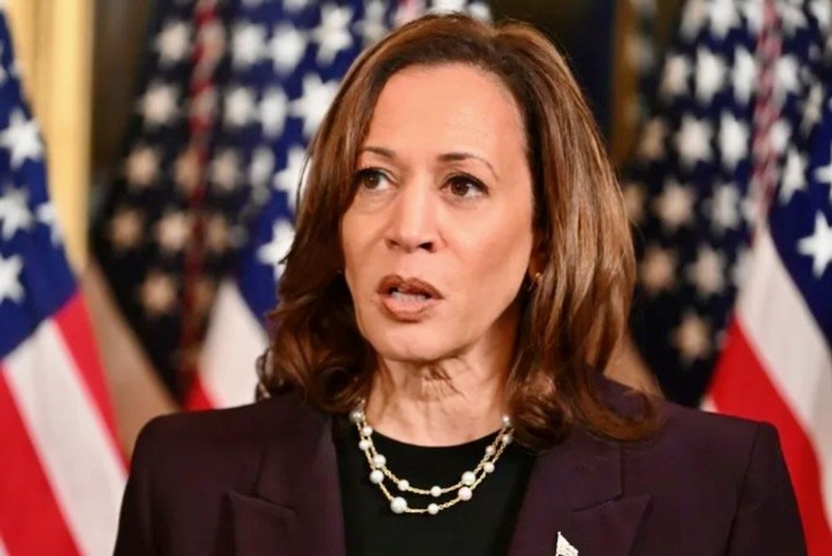 'More than triple-checked it': Data expert shocked by new Dem voter registration numbers