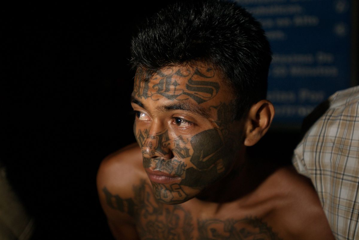 Staggering report claims 'secret deal' links Trump ally and notorious MS-13 gang