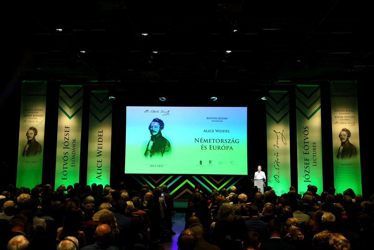 'Revolting': MAGA rep skewered for embracing far-right party that invoked Nazi-slogans