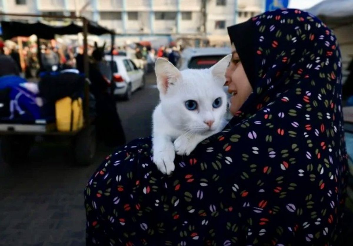 Gazans fill streets heading home as truce begins