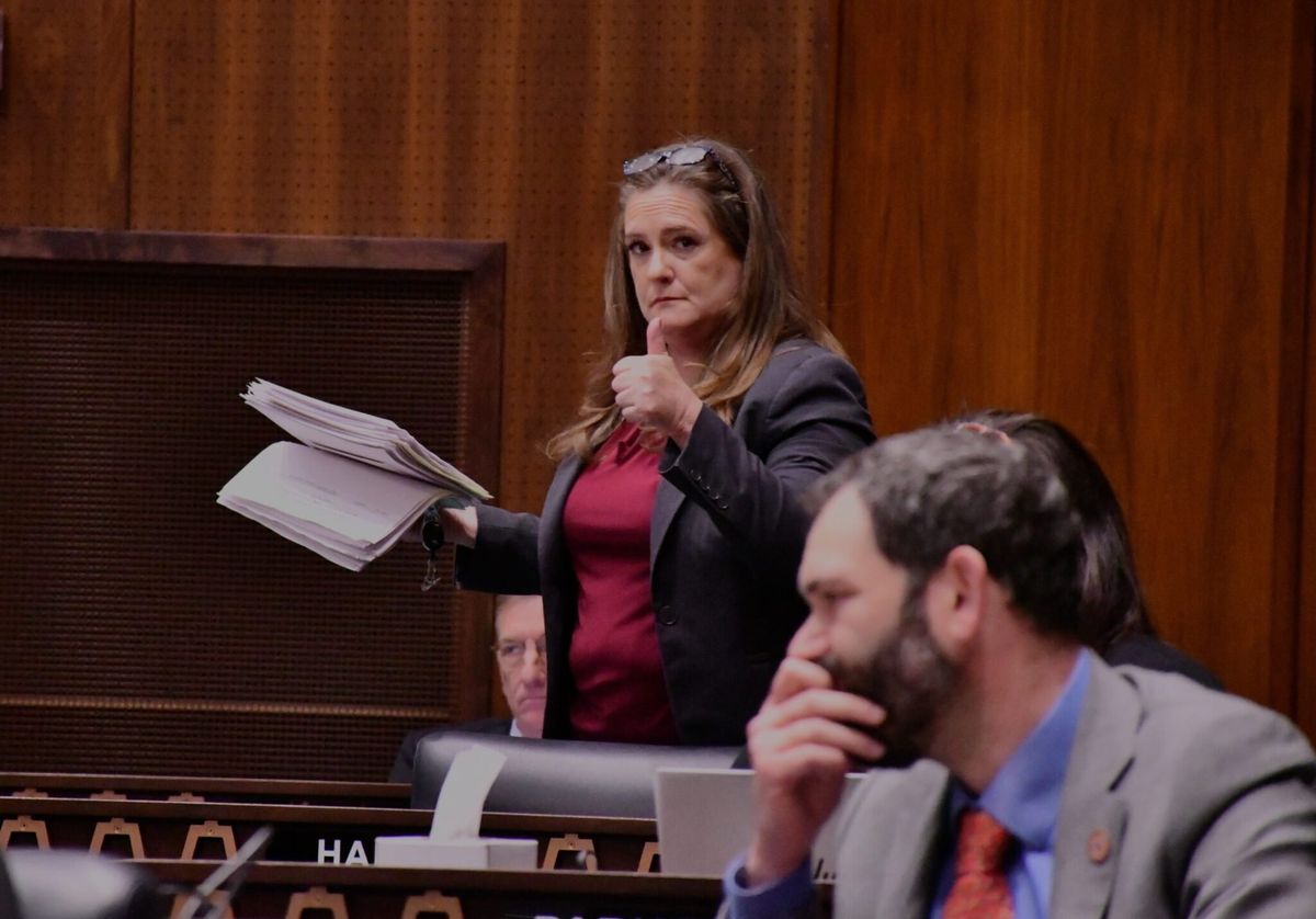 Republican-led House expels Arizona conspiracy theorist Liz Harris for lying