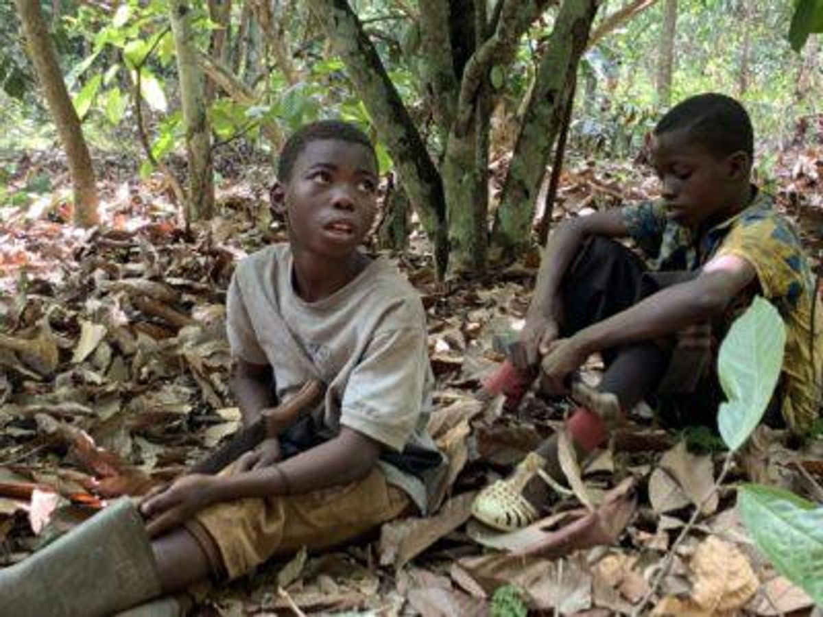 The 1.5 million child slaves behind your chocolate bar