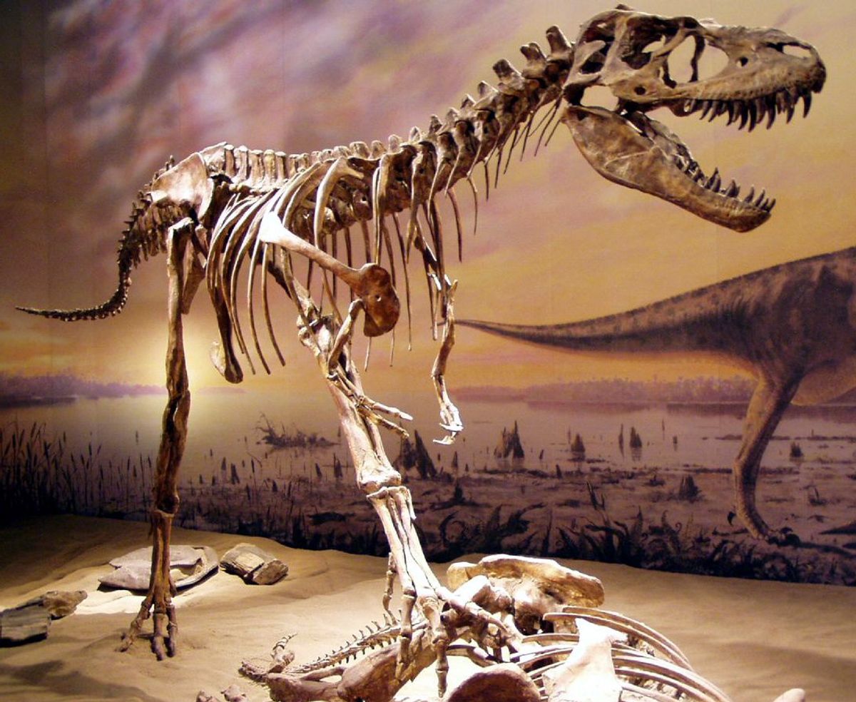 Fossils show dismembered young dinosaurs in belly of T. rex cousin