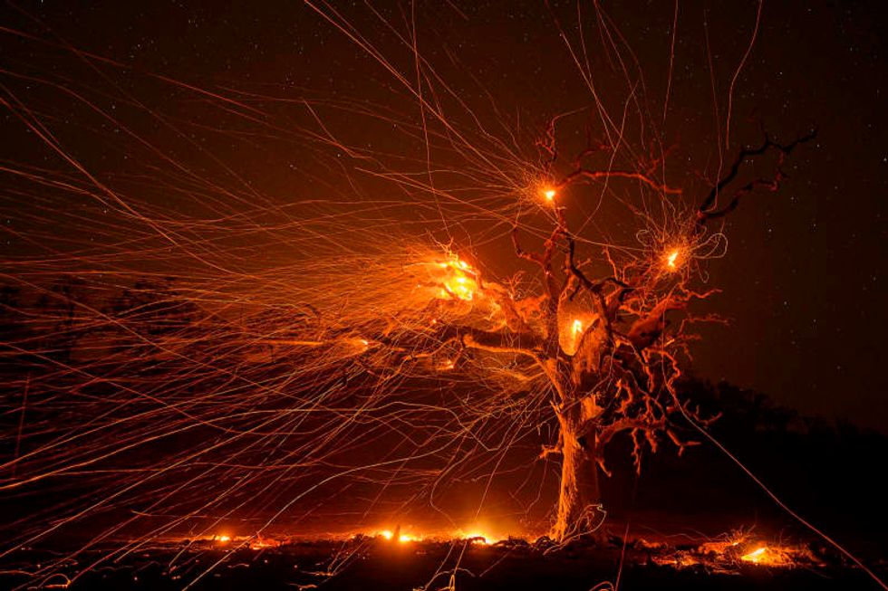 Why California spends billions but can't control its wildfires. 'No simple or cheap solution'