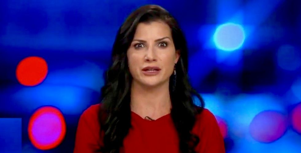 NRA spokesperson Dana Loesch hails 'freedom and innovation' of untraceable DIY guns
