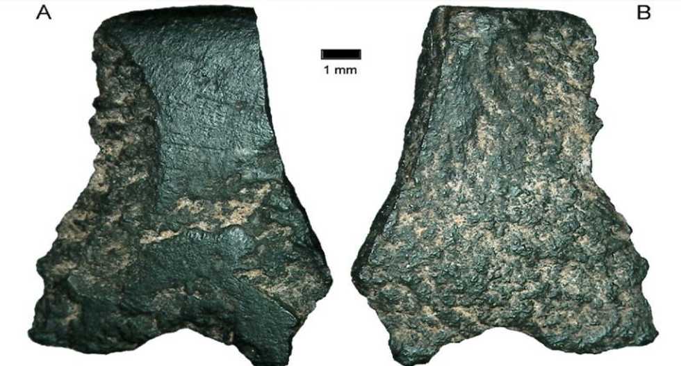 Fragment of 50,000-year-old axe uncovered in Australia: 'Without doubt the oldest axe in the world'