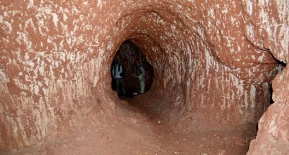 Massive caves in southern Brazil are actually ancient ground sloth burrows