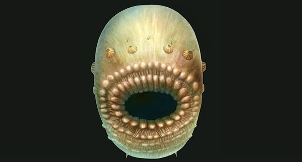 This ghastly sack of cells may be your distant ancestor