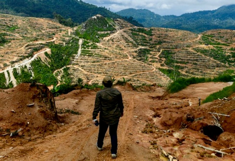 One million species risk extinction due to humans: draft UN report
