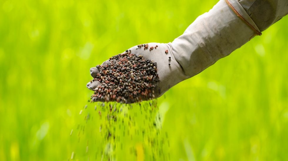 Nutrient recovery reactor turns human excrement into high-quality fertilizer