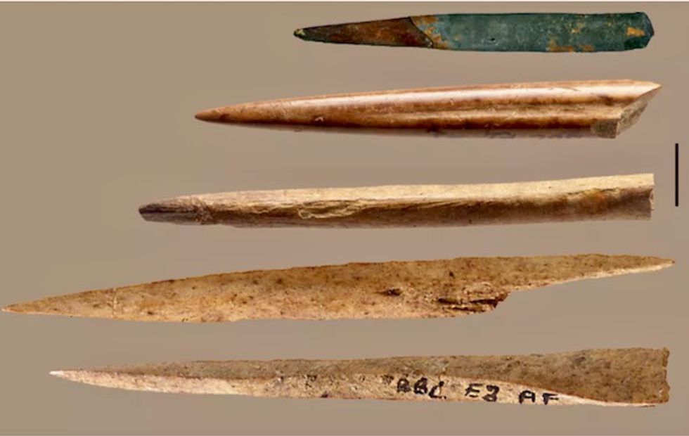 New technology tells us which animal bones were used to make ancient tools