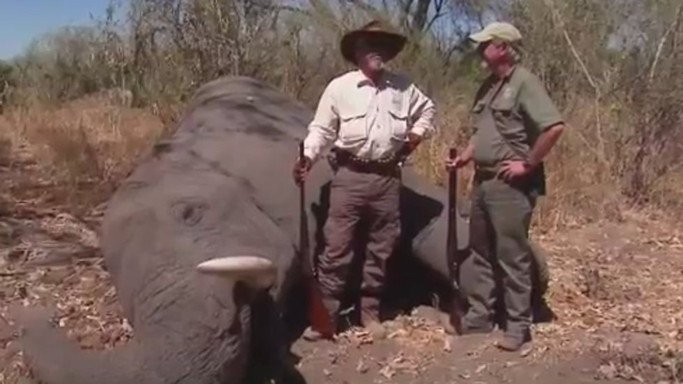 NRA lobbyist shoots elephant in the face and then celebrates with champagne