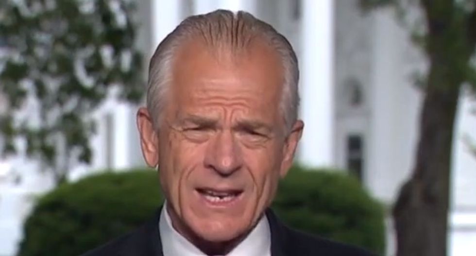 CNN interview derails as Trump aide Peter Navarro reminisces about drinking from a ‘colored’ water fountain at Woolworth’s