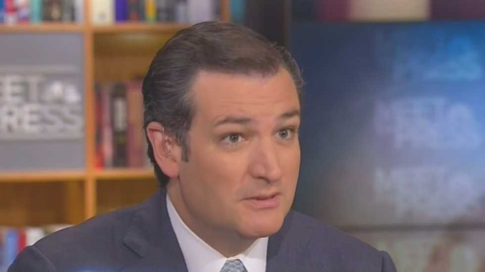 Cruz: Killing Obamacare for one year is 'the essence of a compromise'