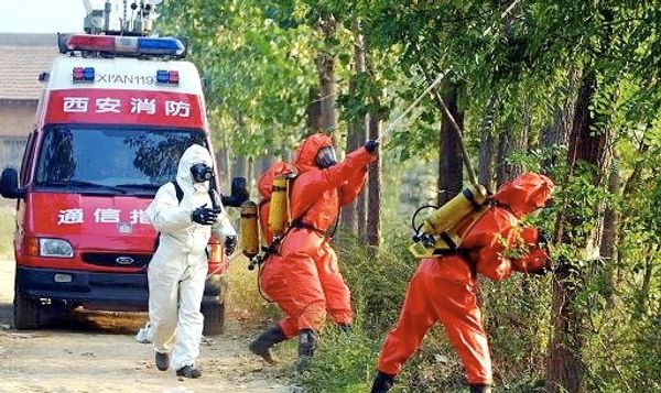 42 dead after swarms of 'killer hornets' invade Chinese cities