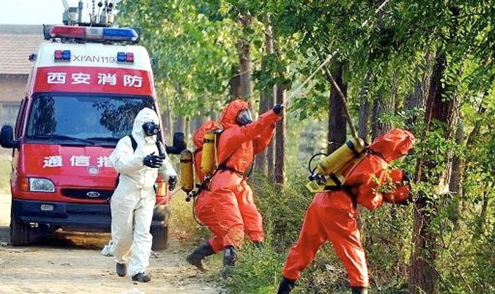 42 dead after swarms of 'killer hornets' invade Chinese cities