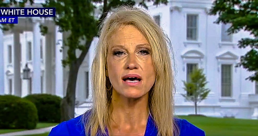 'A shiv in the ribs': Kellyanne Conway throws Reince Priebus under the bus for leak of Scaramucci financials