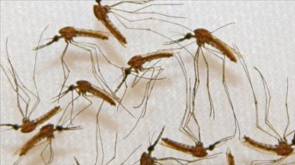 Nobel Prize for Medicine goes to three scientists who beat malaria and parasites