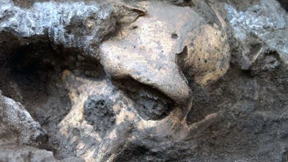 Skull discovery suggests early man was single species